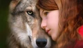 Фоновый кадр с франшизы Мой волк