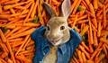 Фоновый кадр с франшизы Кролик Питер
