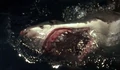 Фоновый кадр с франшизы Акула Юрского периода