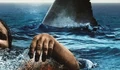 Фоновый кадр с франшизы Открытое море: Новые жертвы