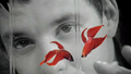Фоновый кадр с франшизы Бойцовая рыбка