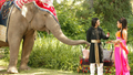 Фоновый кадр с франшизы Слон и принцесса