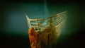 Фоновый кадр с франшизы Титаник: 20 лет спустя с Джеймсом Кэмероном