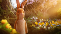 Фоновый кадр с франшизы Плюшевый кролик