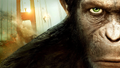 Фоновый кадр с франшизы Восстание планеты обезьян