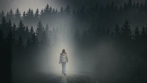 Фоновый кадр с франшизы Девушка в тумане