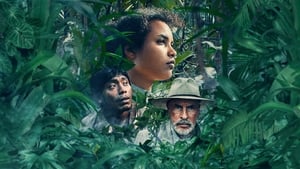 Фоновый кадр с франшизы Трагедии джунглей