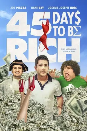 Постер 45 дней до богатства