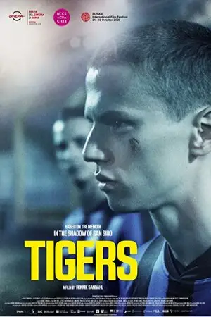 Постер Тигры