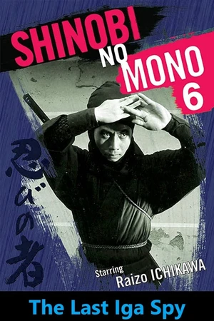 Постер Ниндзя 6