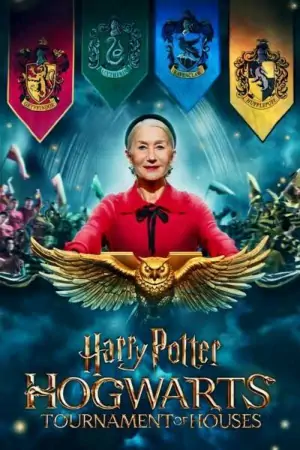 Постер Гарри Поттер: Турнир факультетов Хогвартса