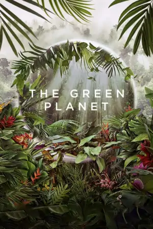 Постер Зелёная планета