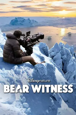 Постер Наблюдение за медведем