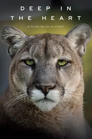 Постер Глубоко в сердце: история дикой природы Техаса