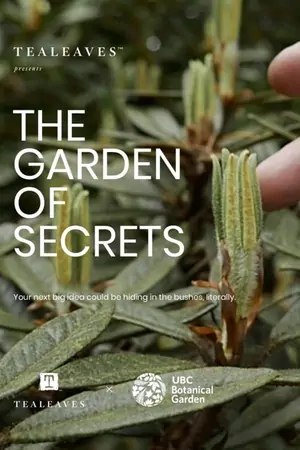 Фоновый кадр с франшизы Секреты сада