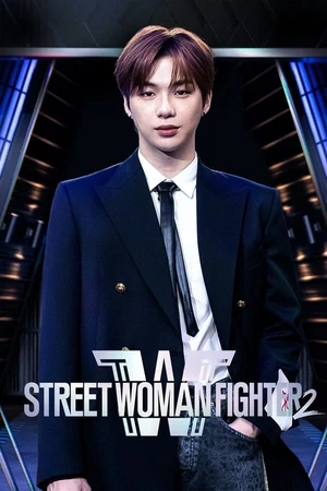 Постер Уличная женщина-боец