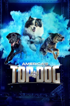 Постер Лучший пёс Америки