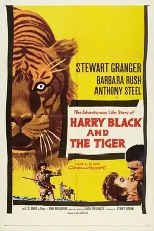 Постер Гарри Блэк и Тигр