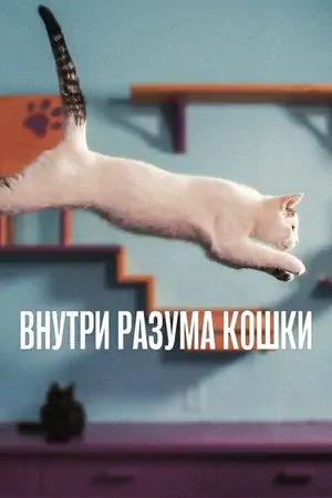 Постер Внутри разума кошки