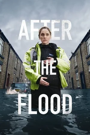 Постер После потопа
