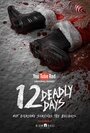Постер 12 смертельных дней