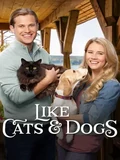 Постер Как кошка с собакой
