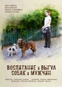 Постер Воспитание и выгул собак и мужчин