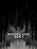 Постер Серый лес