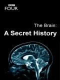 Постер Мозг: Тайны сознания