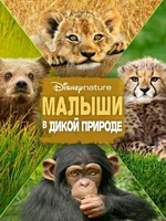 Постер Малыши в дикой природе