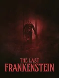 Постер Последний Франкенштейн