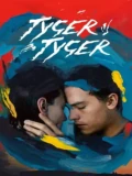 Постер Тигр, о тигр