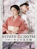 Постер В плену у сакуры