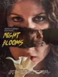 Постер Цветы ночи