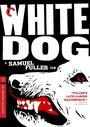 Постер Белая собака