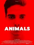 Постер Животные