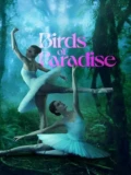 Постер Райские птицы
