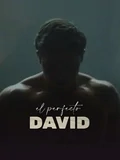 Постер Идеальный Давид