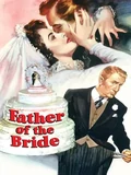 Постер Отец невесты