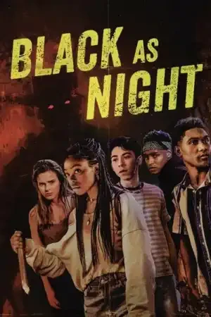 Постер Темнее ночи