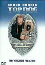 Постер Главная собака