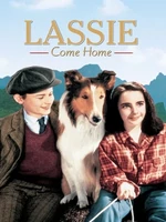 Постер Лесси возвращается домой