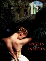 Постер Ангелы и насекомые