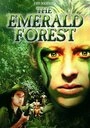 Постер Изумрудный лес