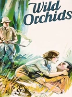 Постер Дикие орхидеи