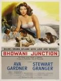 Постер Станция Бховани