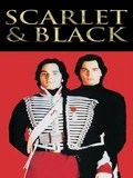 Постер Красное и черное