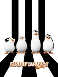 Постер Пингвины из Мадагаскара