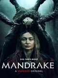 Постер Мандрагора