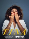 Постер Тина